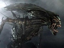 Read more about the article Reflections on the “Alien”