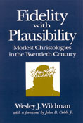 You are currently viewing Fidelity With Plausibility, by Wesley J. Wildman